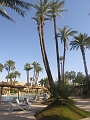 12 02 13_Egypt_1041